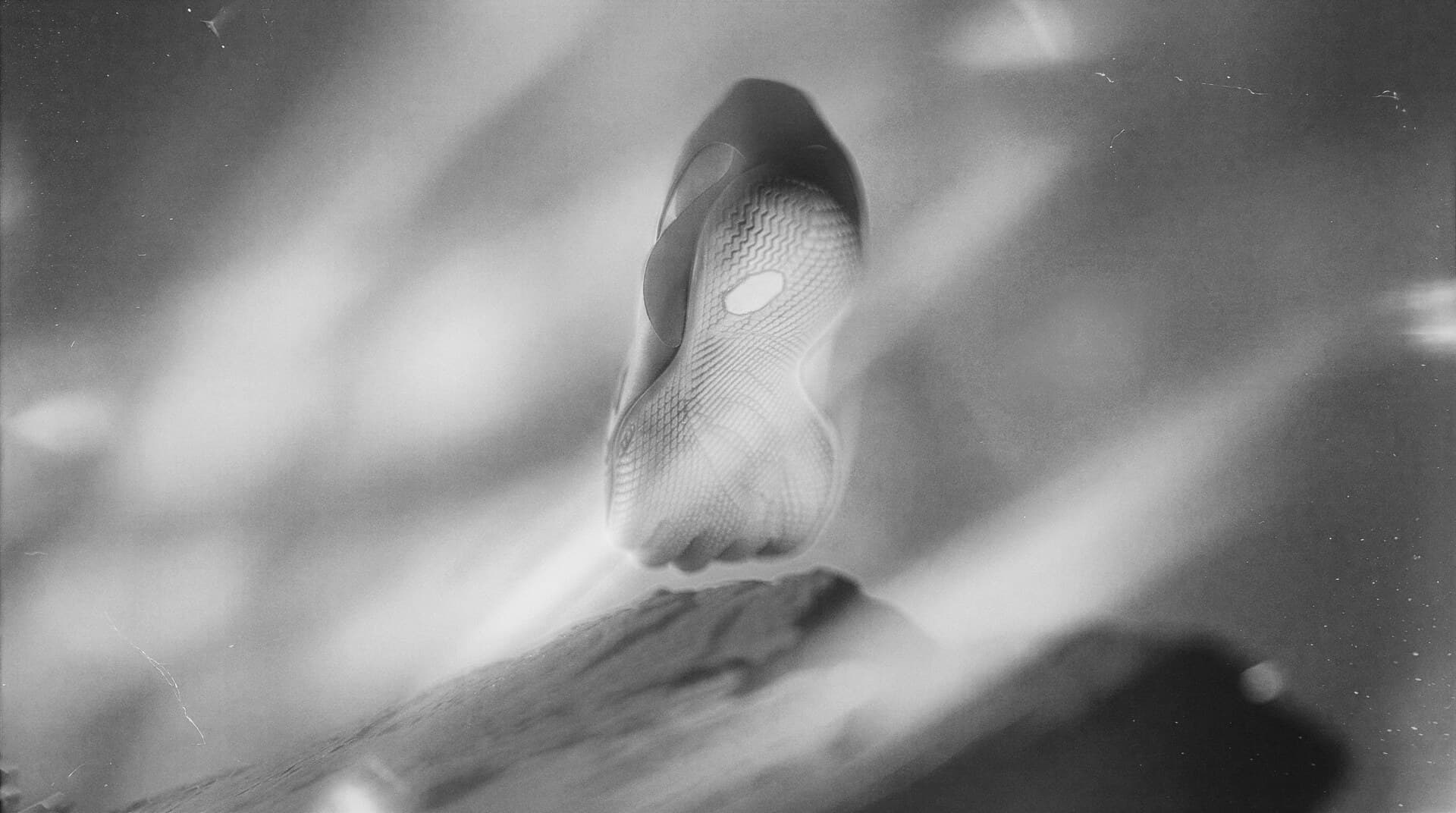Barefoot shoe sole, motion blur study