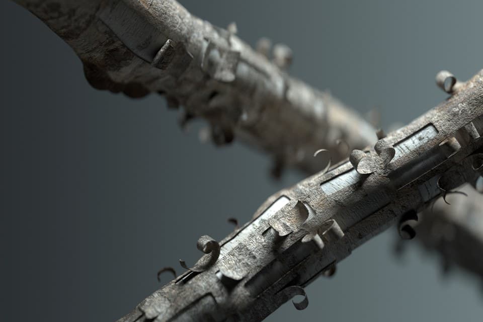 Dove — Director's Cut — image 7