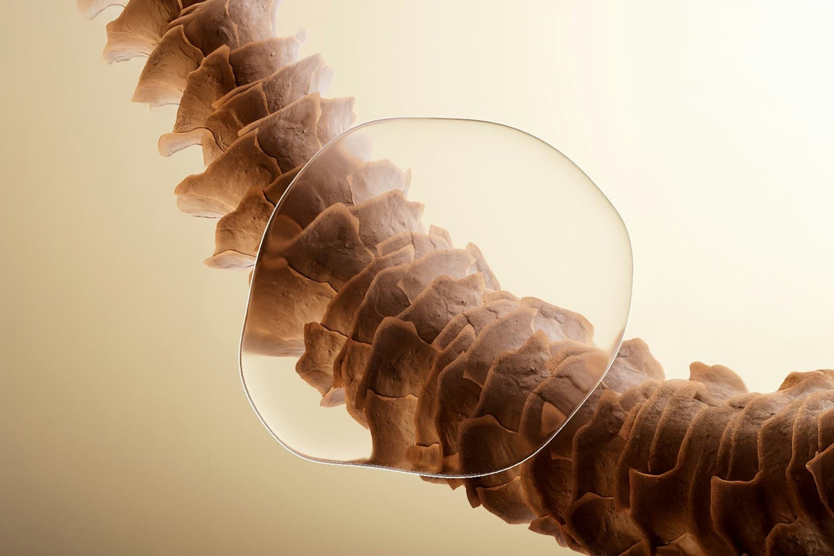 Pantene — image 10